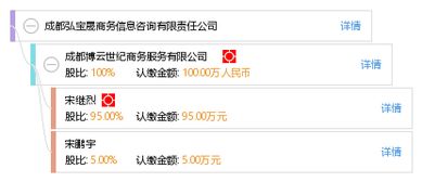 成都弘宝晟商务信息咨询 企业决策的智慧外脑与信息桥梁