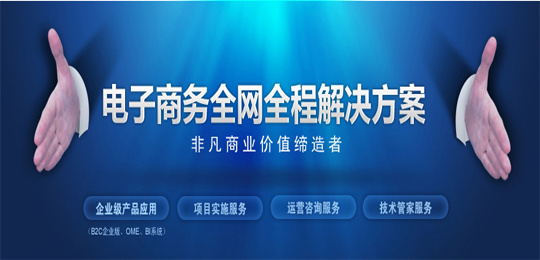辉宇智能 数据驱动的电商运营，重塑商务咨询新范式